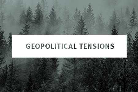 Image for Webinar & Q&A: 2022 Geopolitical Tensions