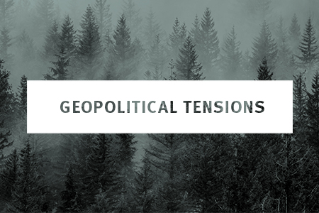 Image for WEBINAR & Q&A: 2022 GEOPOLITICAL TENSIONS