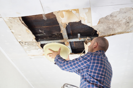 Image for Preventing Water Damage to Your Home