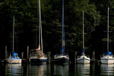 Image for Retirement Plan Safe Harbors