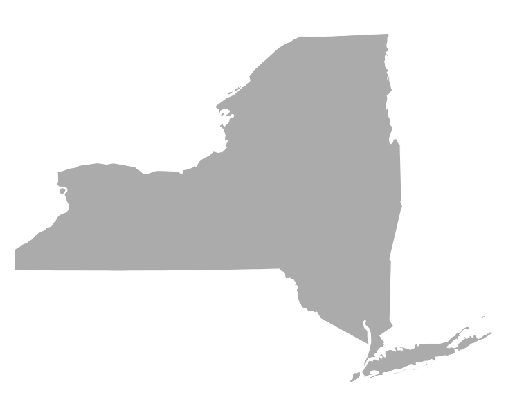 2024-12_TAM_Newsletter_Q4Graphics_States_New York
