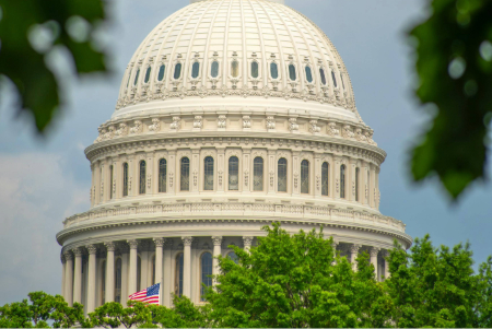 Image for DOL Backs Employers in Forfeiture Litigation