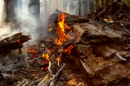 Image for Fire-Hardened Residential Construction: Best Practices and Emerging Technologies for Wildfire Resilience